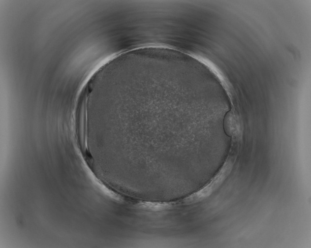 X0000112930910200909071031