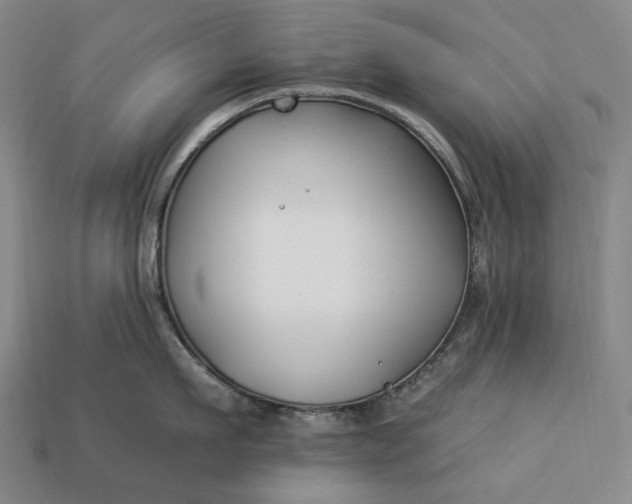 X0000112930911200909071031