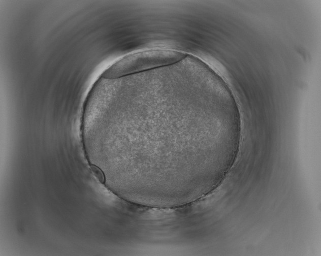 X0000112930912200909071030