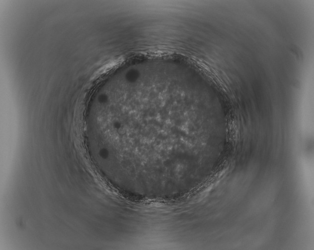 X0000112930913200909071030