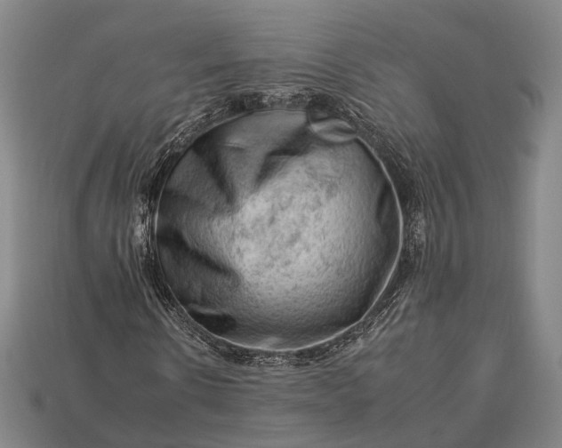 X0000112930914200909071030