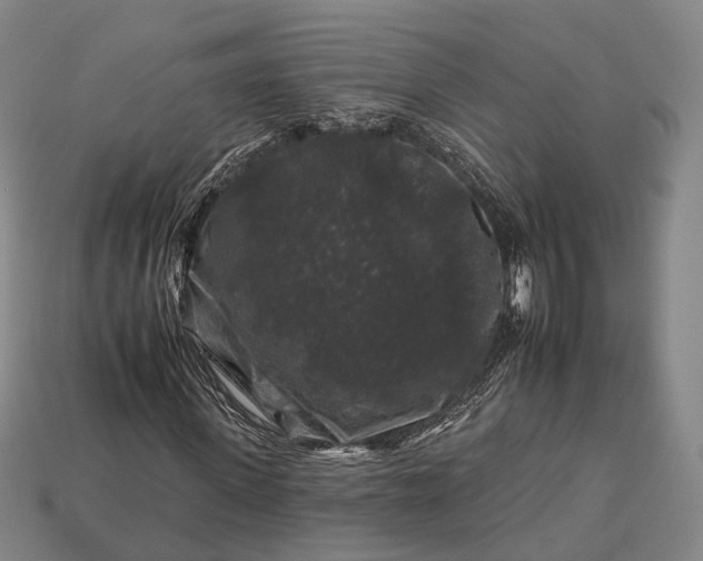 X0000112930915200909071030