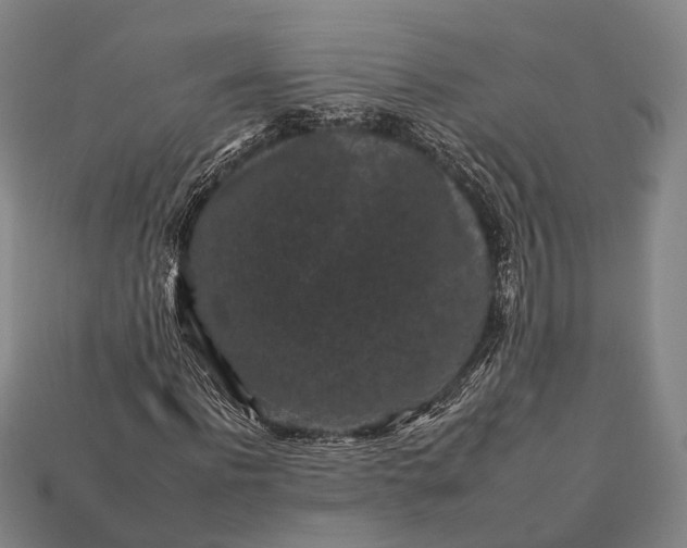 X0000112930916200909071030