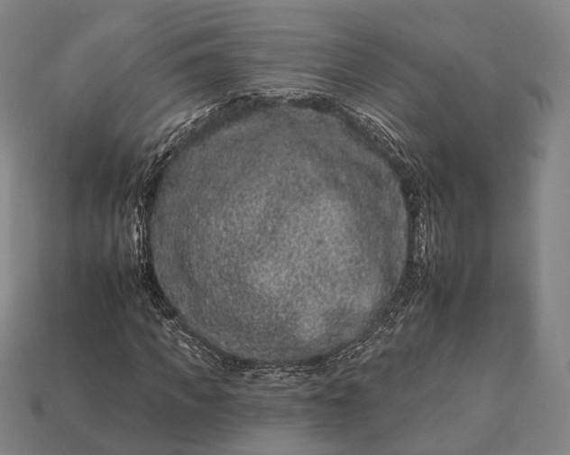 X0000112930917200909071030