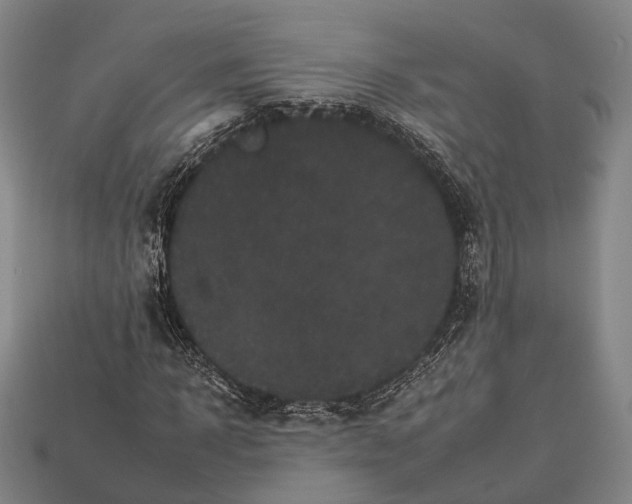 X0000112930918200909071030