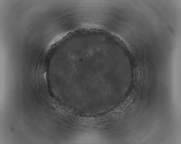 X0000112930919200909071030