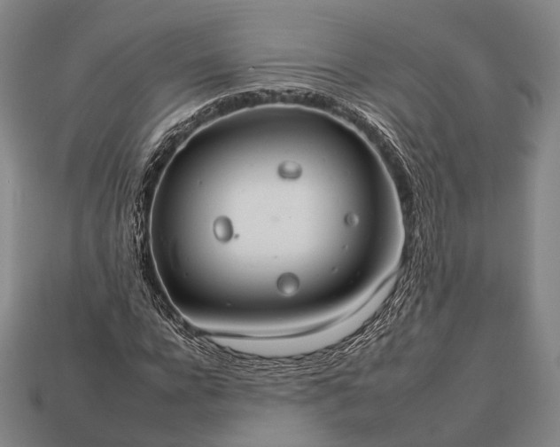 X0000112930920200909071030