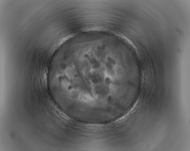 X0000112930921200909071030