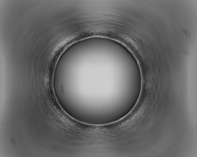 X0000112930922200909071030