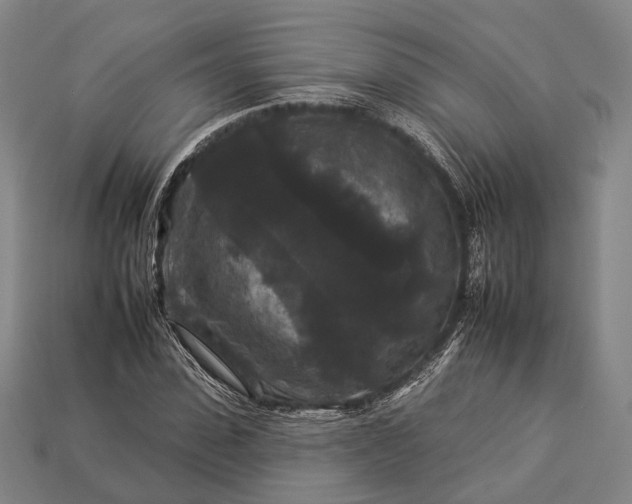 X0000112930923200909071030