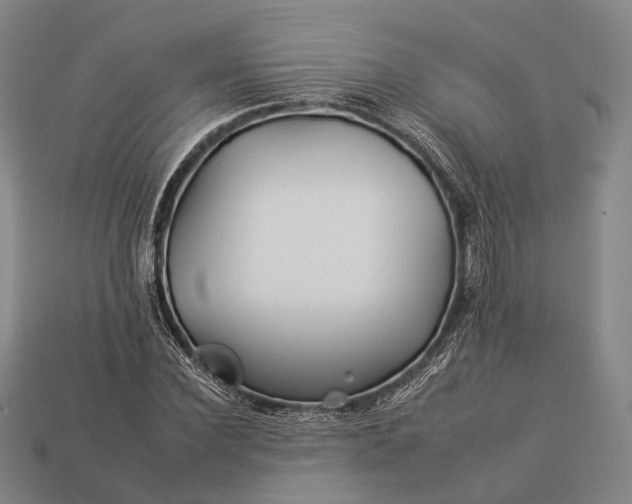 X0000112930924200909071030