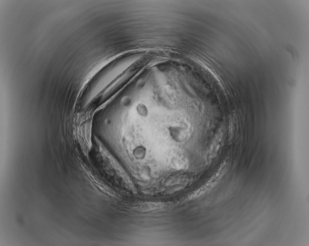 X0000112930925200909071030