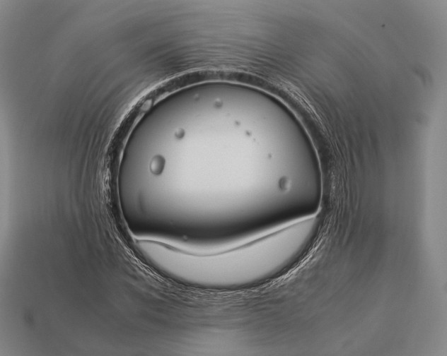 X0000112930926200909071030