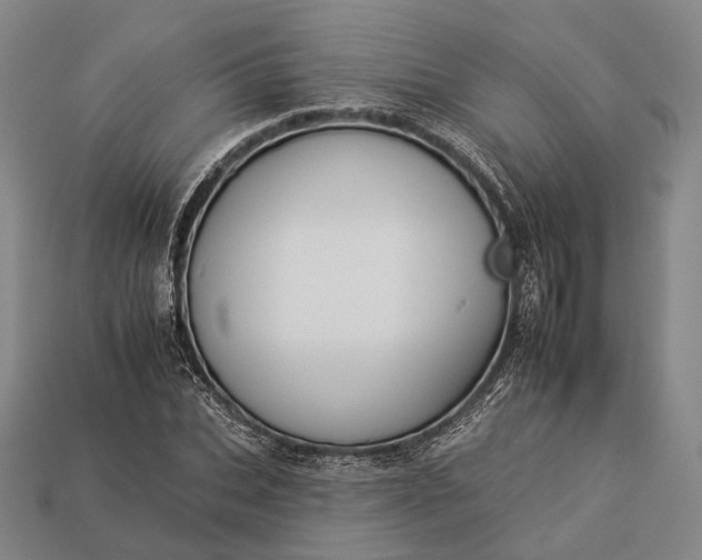 X0000112930927200909071030