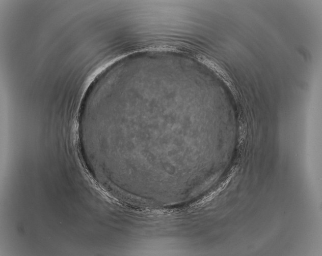 X0000112930928200909071030