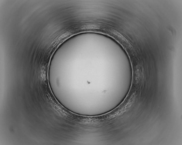 X0000112930929200909071030