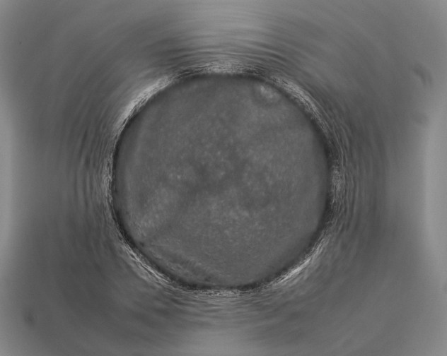 X0000112930930200909071030