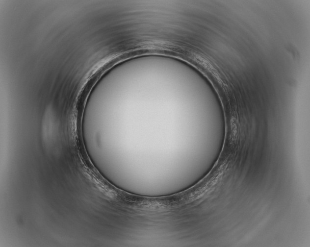 X0000112930931200909071030