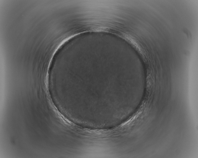 X0000112930932200909071030