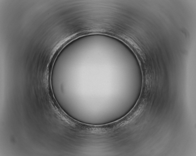 X0000112930933200909071030