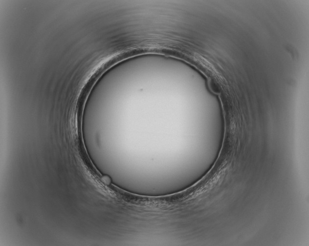 X0000112930934200909071030