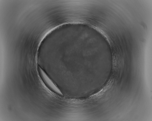 X0000112930935200909071030