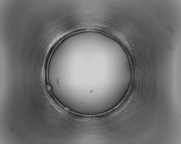 X0000112930936200909071030