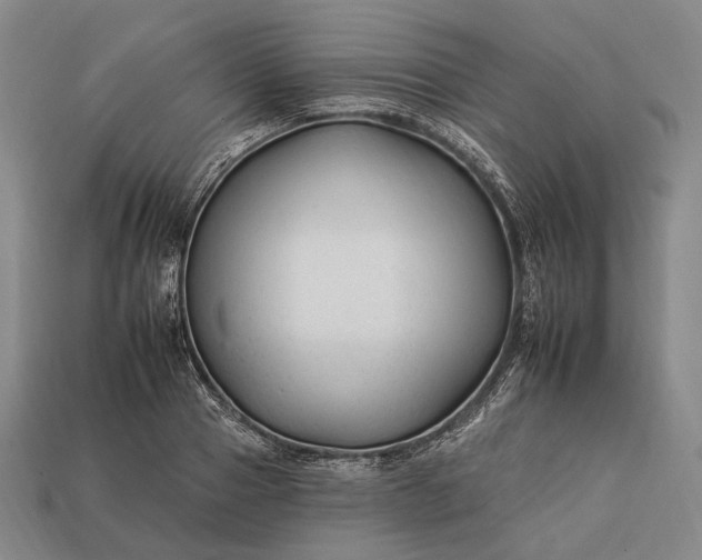 X0000112930937200909071030