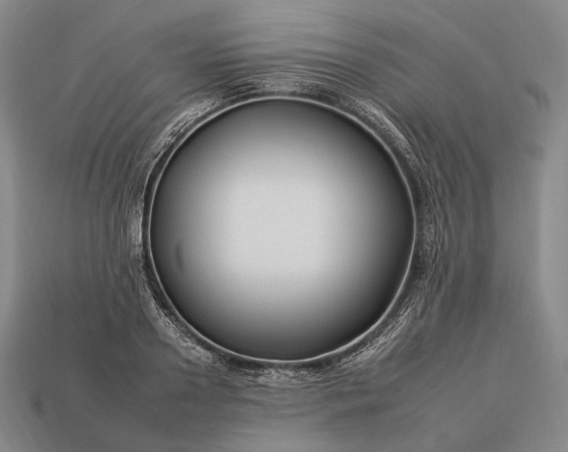 X0000112930938200909071030