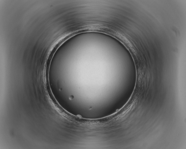 X0000112930939200909071030