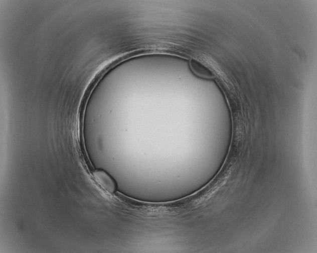 X0000112930940200909071030