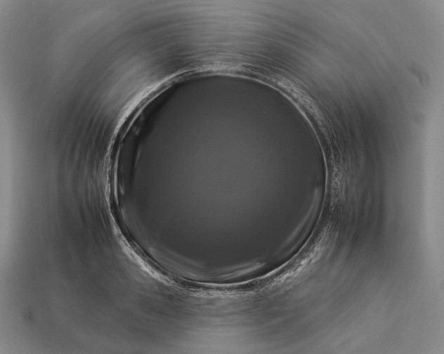 X0000112930941200909071030