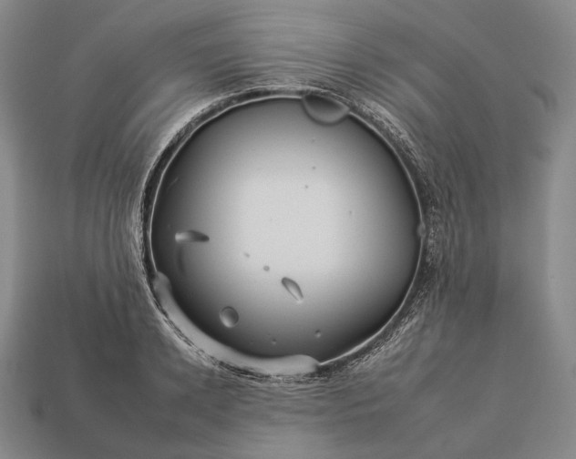 X0000112930942200909071030