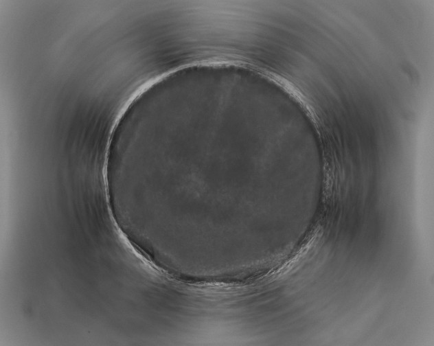 X0000112930943200909071030