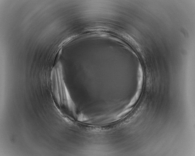 X0000112930945200909071030