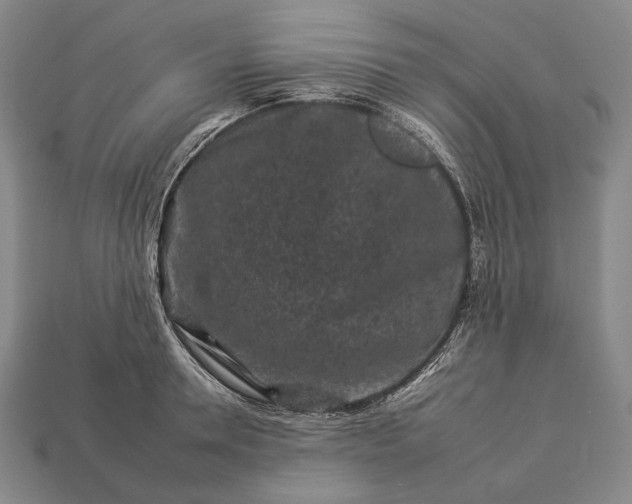 X0000112930946200909071030