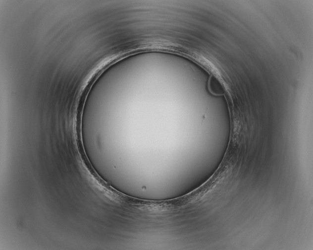 X0000112930947200909071030