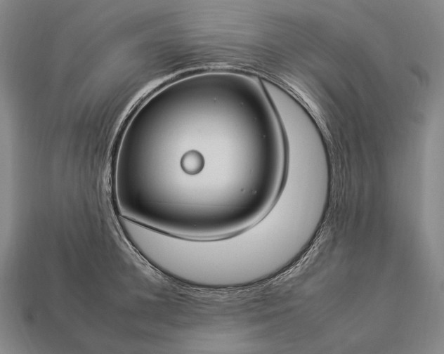 X0000112930948200909071030