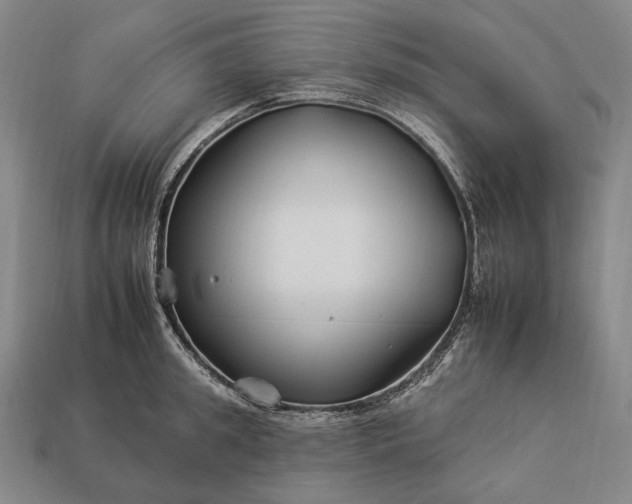 X0000112930949200909071030