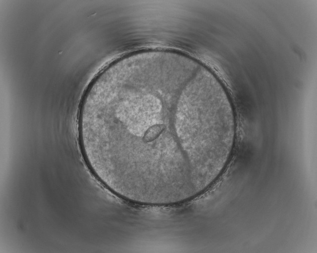 X0000112930950200909071030