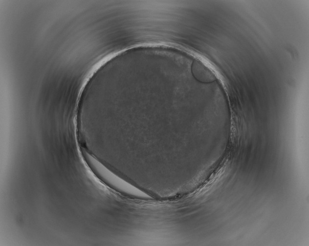 X0000112930951200909071030