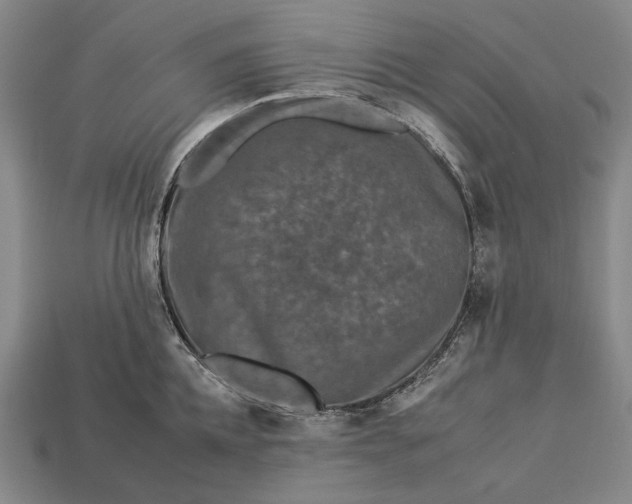 X0000112930952200909071030