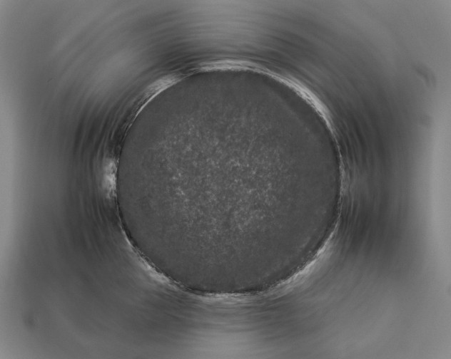 X0000112930953200909071030