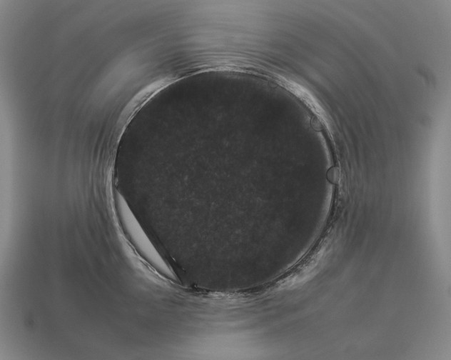 X0000112930954200909071030