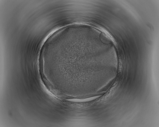 X0000112930955200909071030