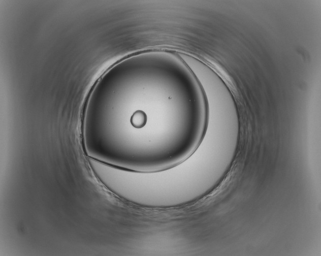 X0000112930956200909071030