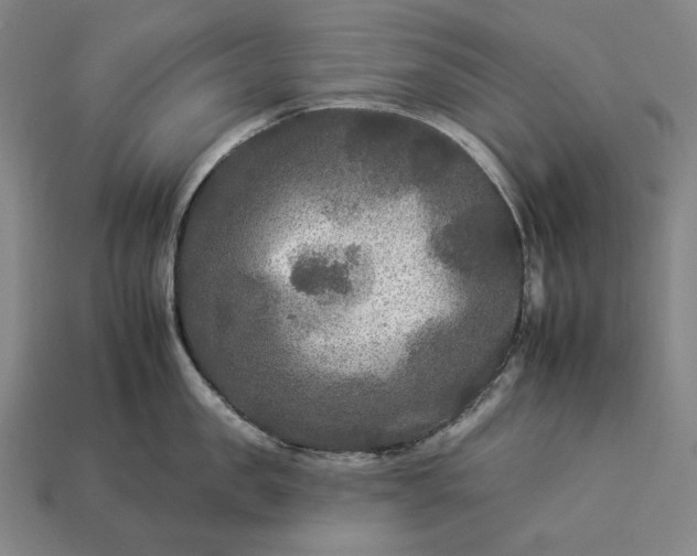 X0000112930957200909071030