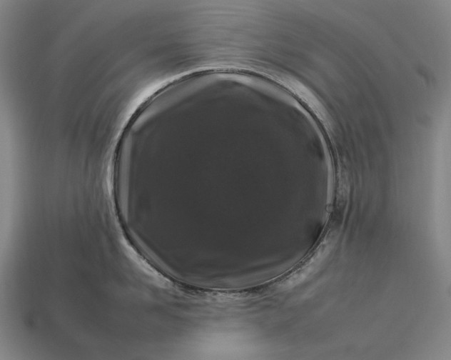 X0000112930958200909071030