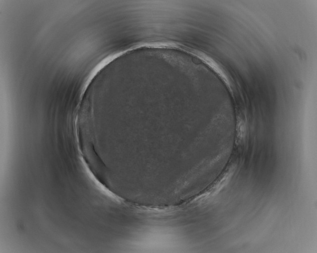 X0000112930959200909071030