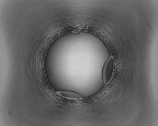 X0000112930961200909071030